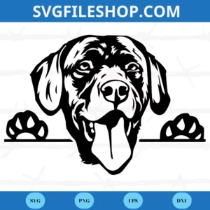 Labrador Retriever Dog Clipart Png, Graphic Design
